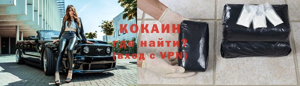 шишки Майский