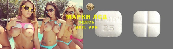 эйфоретик Липки