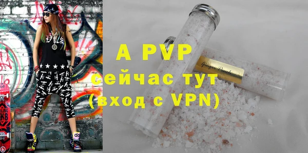 шишки Майский