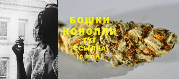 шишки Майский