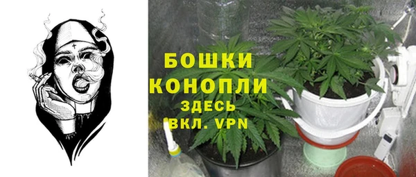 ECSTASY Магас