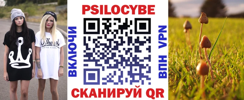 ссылка на мегу   Морозовск  Псилоцибиновые грибы Magic Shrooms 