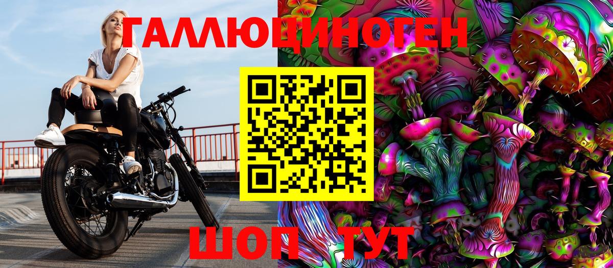 Псилоцибиновые грибы мицелий Морозовск